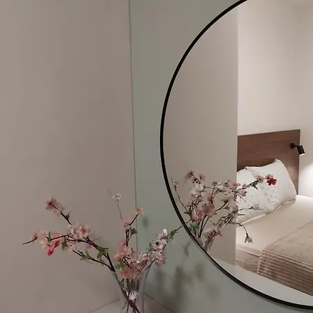 Lider Lux アランジェロヴァツ